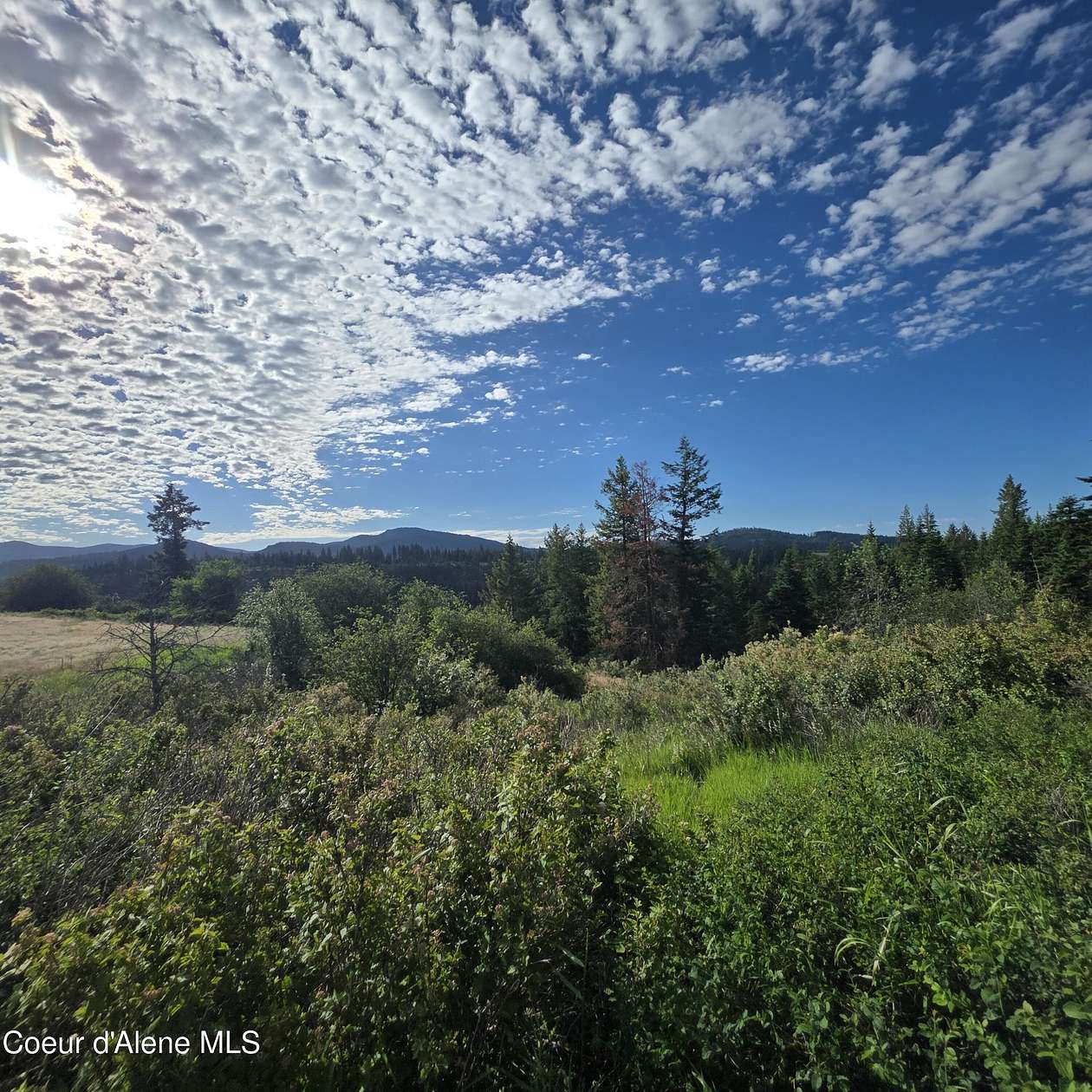 19.8 Acres of Land for Sale in Harrison, Idaho