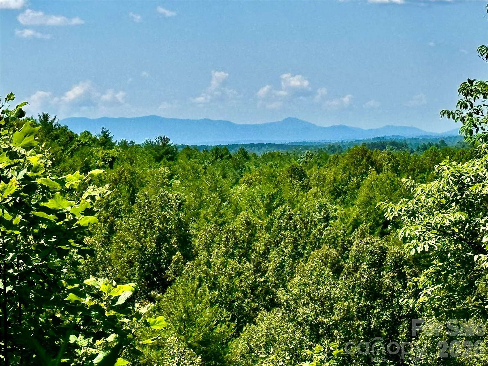 10 Acres of Land for Sale in Lenoir, North Carolina