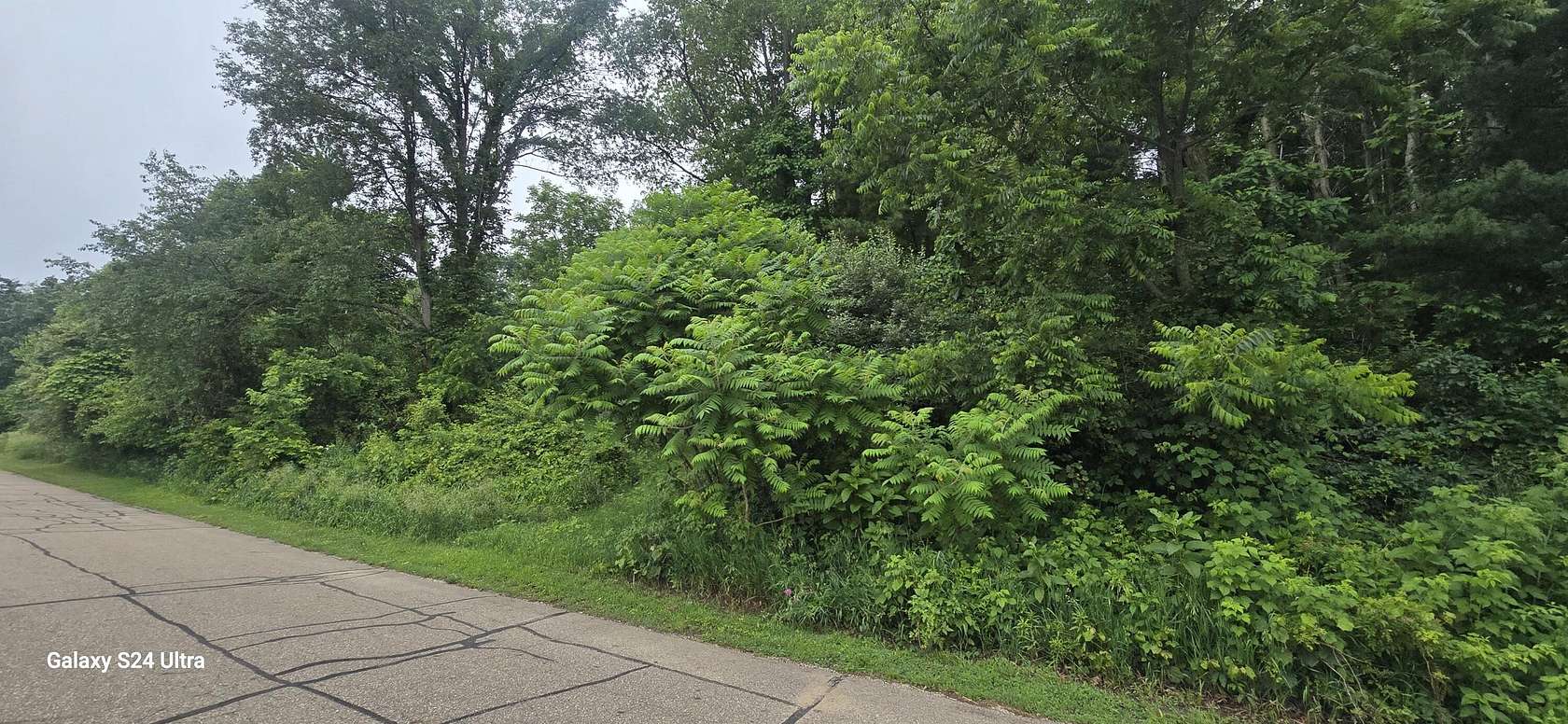 2.54 Acres of Residential Land for Sale in Delton, Michigan