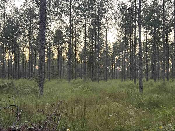 9 Acres of Residential Land for Sale in Pace, Florida