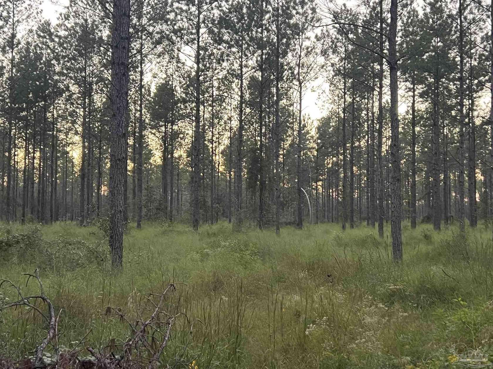 12 Acres of Land for Sale in Pace, Florida