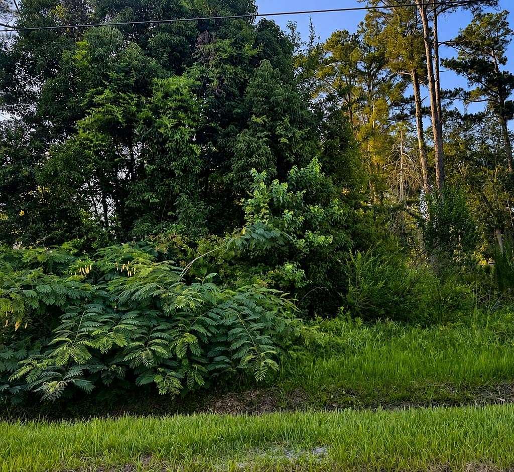 0.17 Acres of Residential Land for Sale in Wewahitchka, Florida