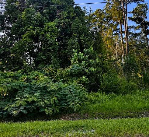 0.17 Acres of Residential Land for Sale in Wewahitchka, Florida