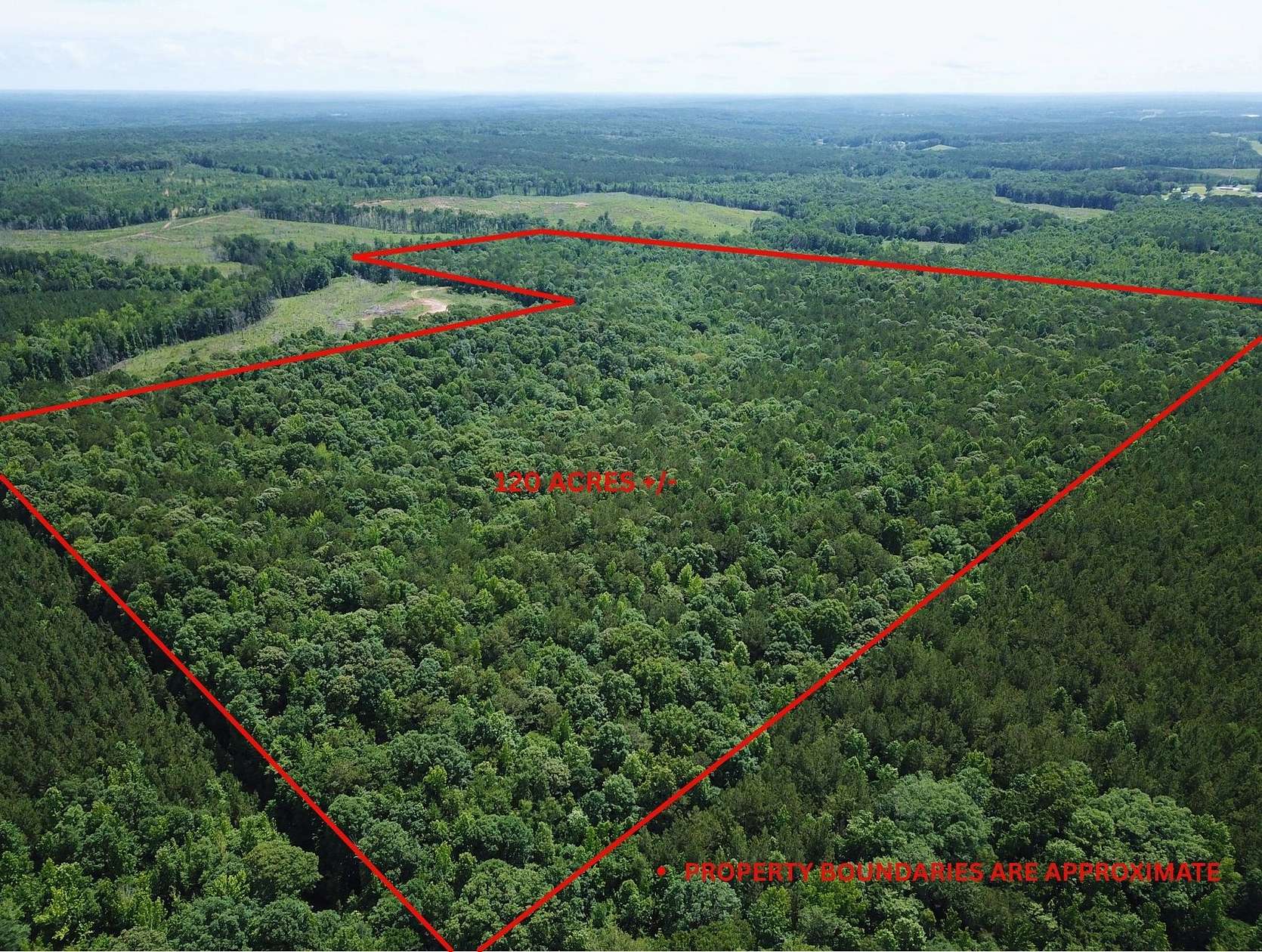 120 Acres of Recreational Land for Sale in Wadley, Alabama
