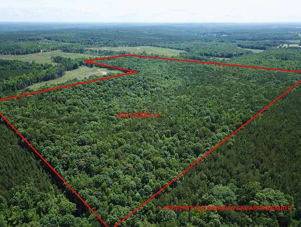 120 Acres of Recreational Land for Sale in Wadley, Alabama