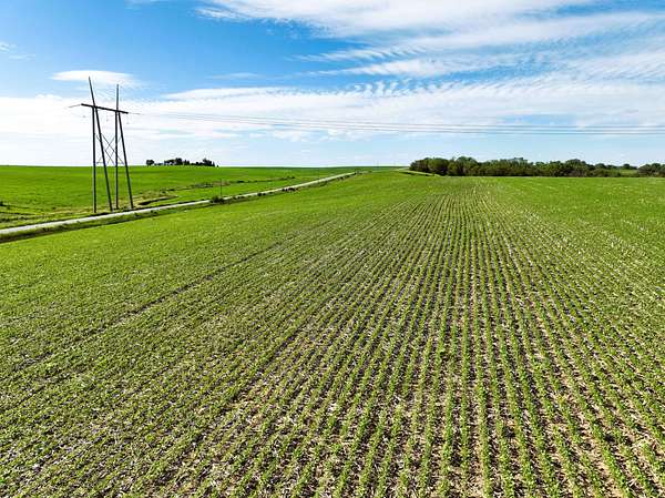 158 Acres of Agricultural Land for Auction in Cumberland, Iowa