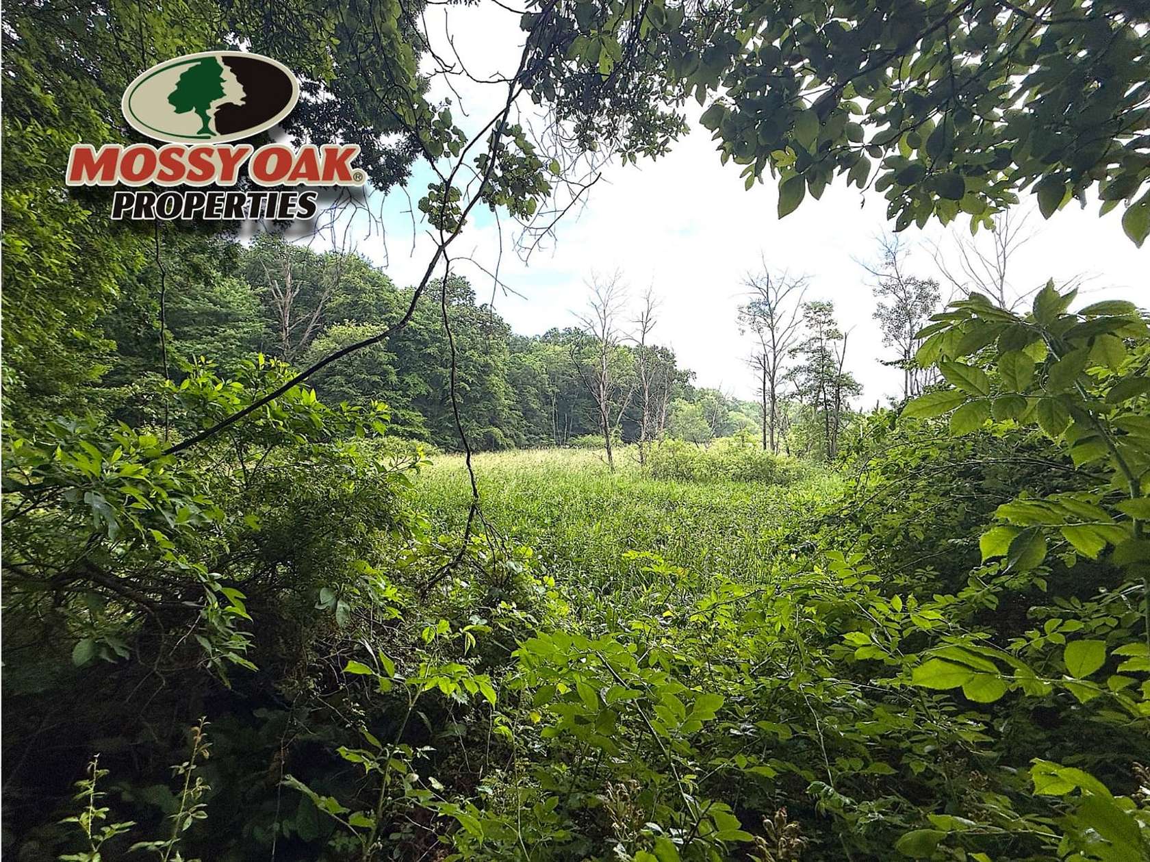23 Acres of Recreational Land for Sale in Plymouth, Indiana