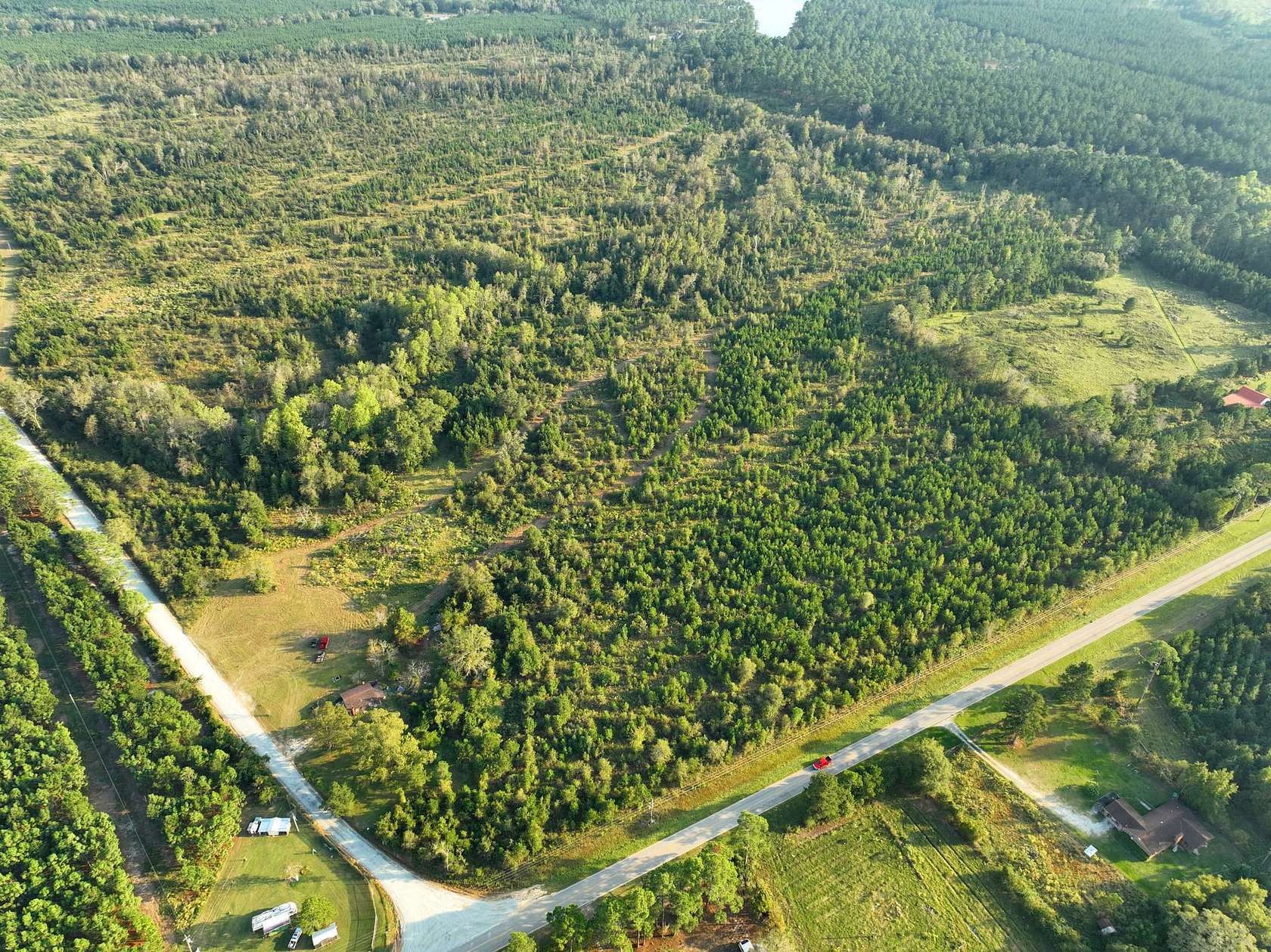 36 Acres of Recreational Land for Sale in Eastman, Georgia