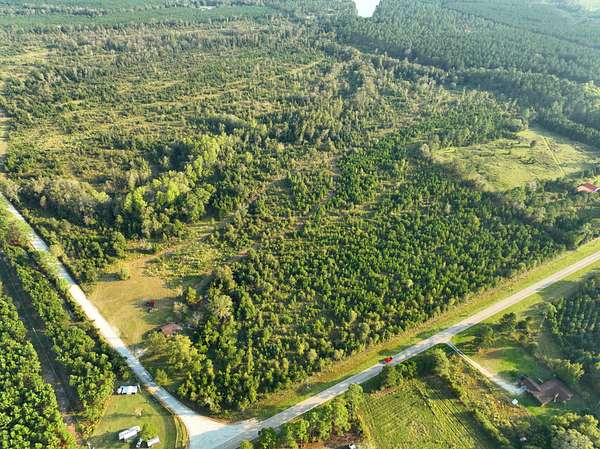 36 Acres of Recreational Land for Sale in Eastman, Georgia