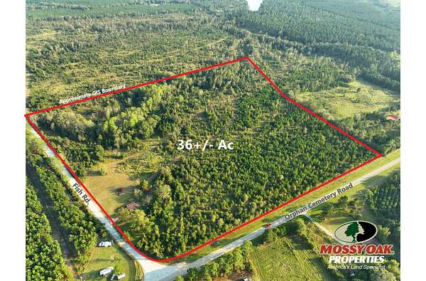 36 Acres of Recreational Land for Sale in Eastman, Georgia