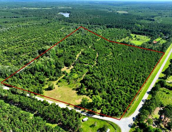 36 Acres of Recreational Land for Sale in Eastman, Georgia