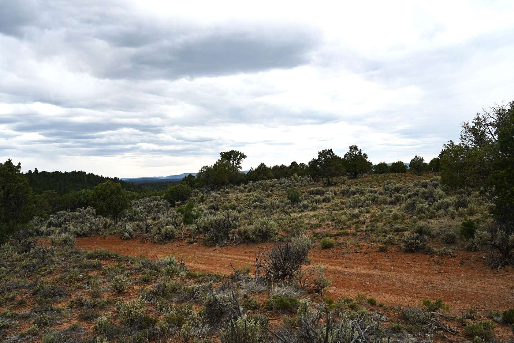 120 Acres of Land for Sale in Tierra Amarilla, New Mexico
