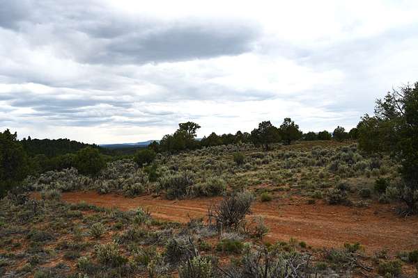 120 Acres of Land for Sale in Tierra Amarilla, New Mexico