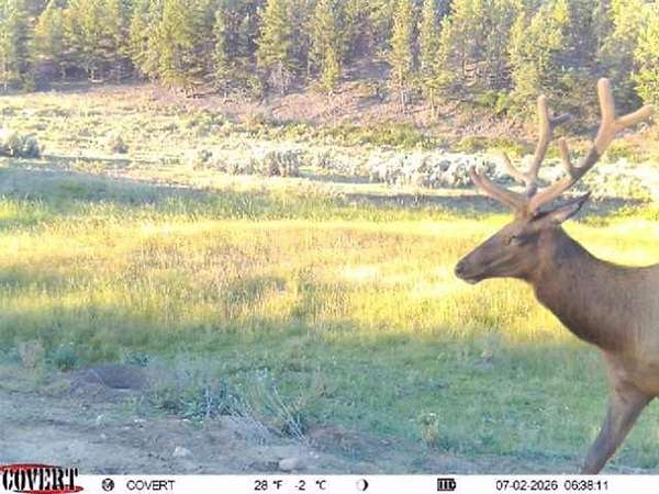 120 Acres of Land for Sale in Tierra Amarilla, New Mexico