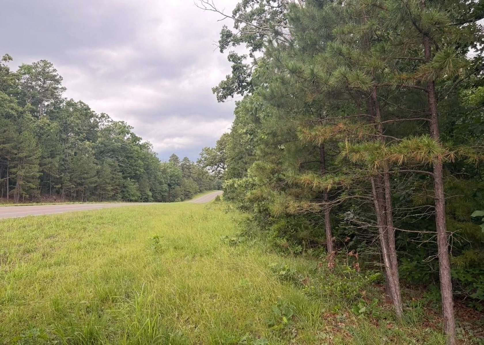 60 Acres of Land for Sale in Ellington, Missouri