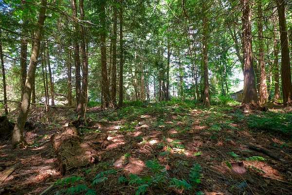0.5 Acres of Residential Land for Sale in Point Roberts, Washington