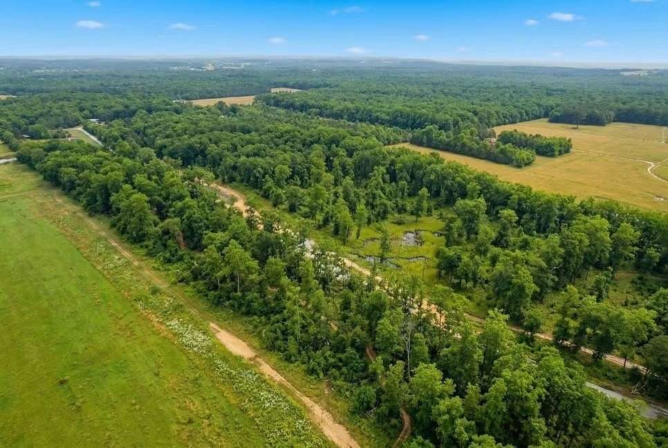 43 Acres of Land for Sale in Belvidere, Tennessee