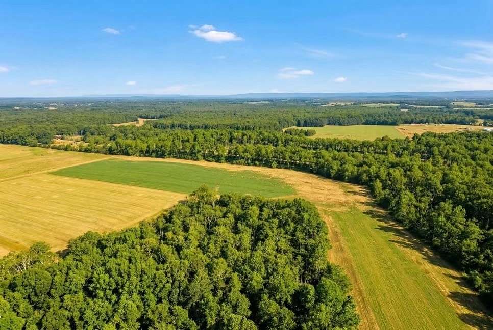 10 Acres of Land for Sale in Belvidere, Tennessee