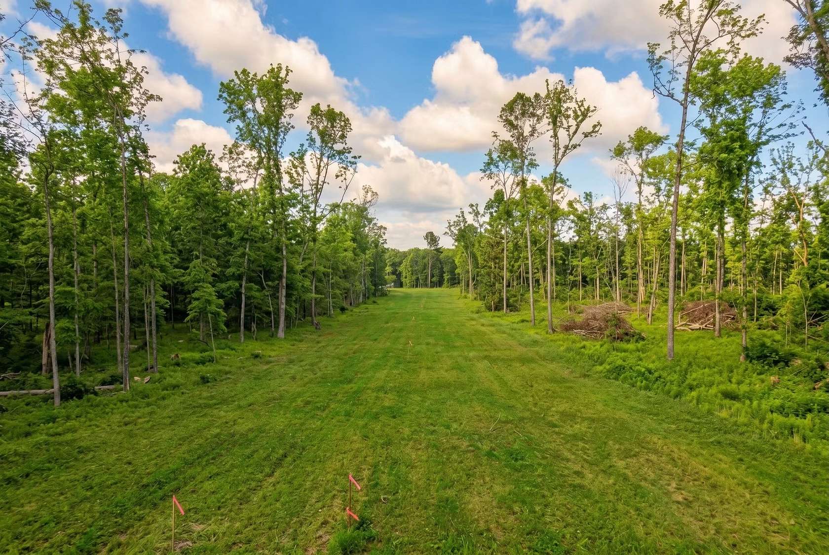 23.1 Acres of Land for Sale in Belvidere, Tennessee