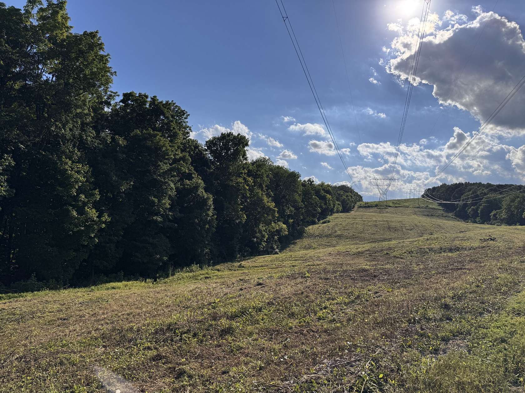 16.5 Acres of Land for Sale in Lebanon, Tennessee