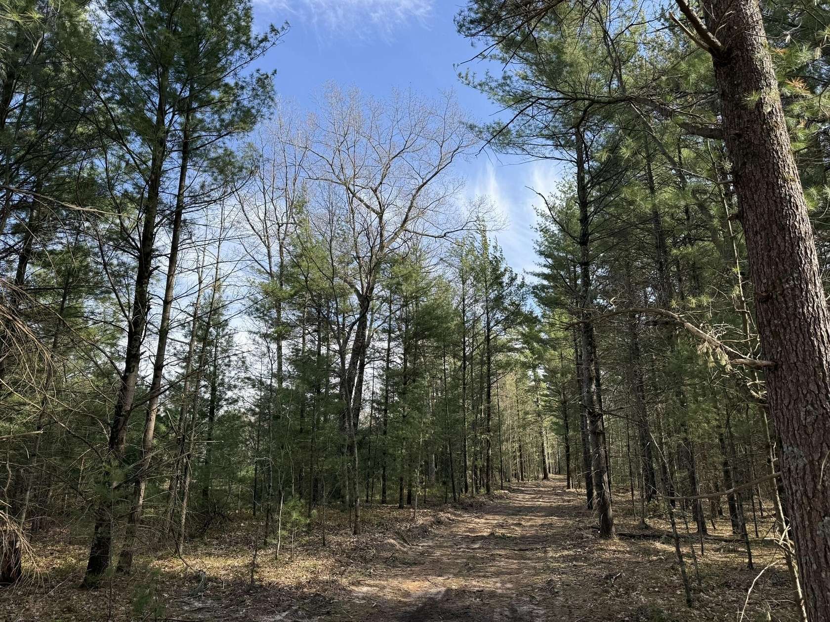 20 Acres of Land for Sale in Manistee, Michigan