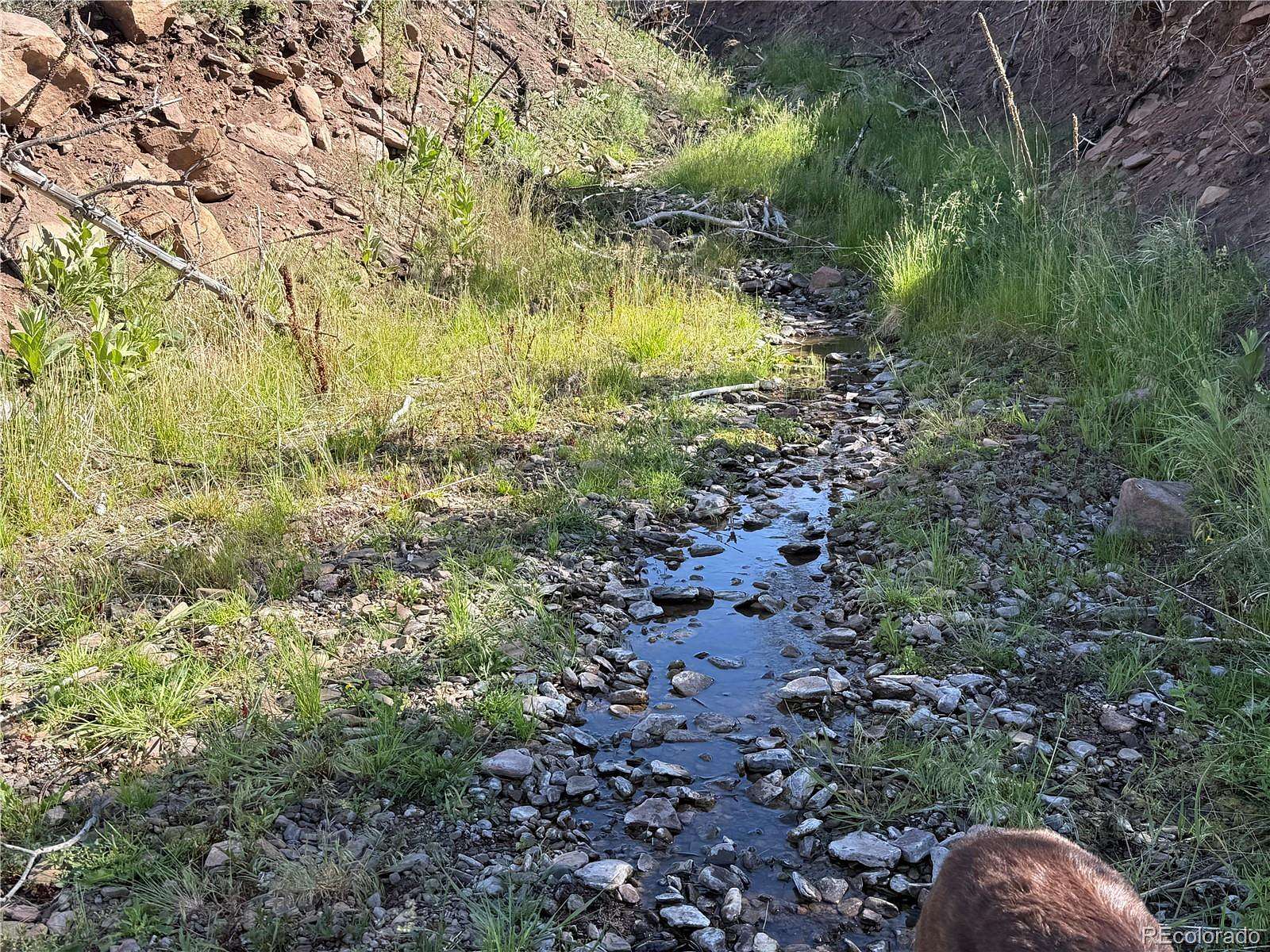 41.3 Acres of Land for Sale in Fort Garland, Colorado