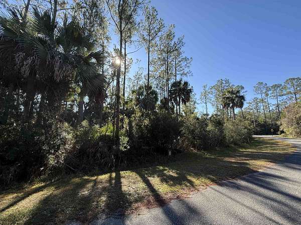 0.31 Acres of Residential Land for Sale in St. Marks, Florida