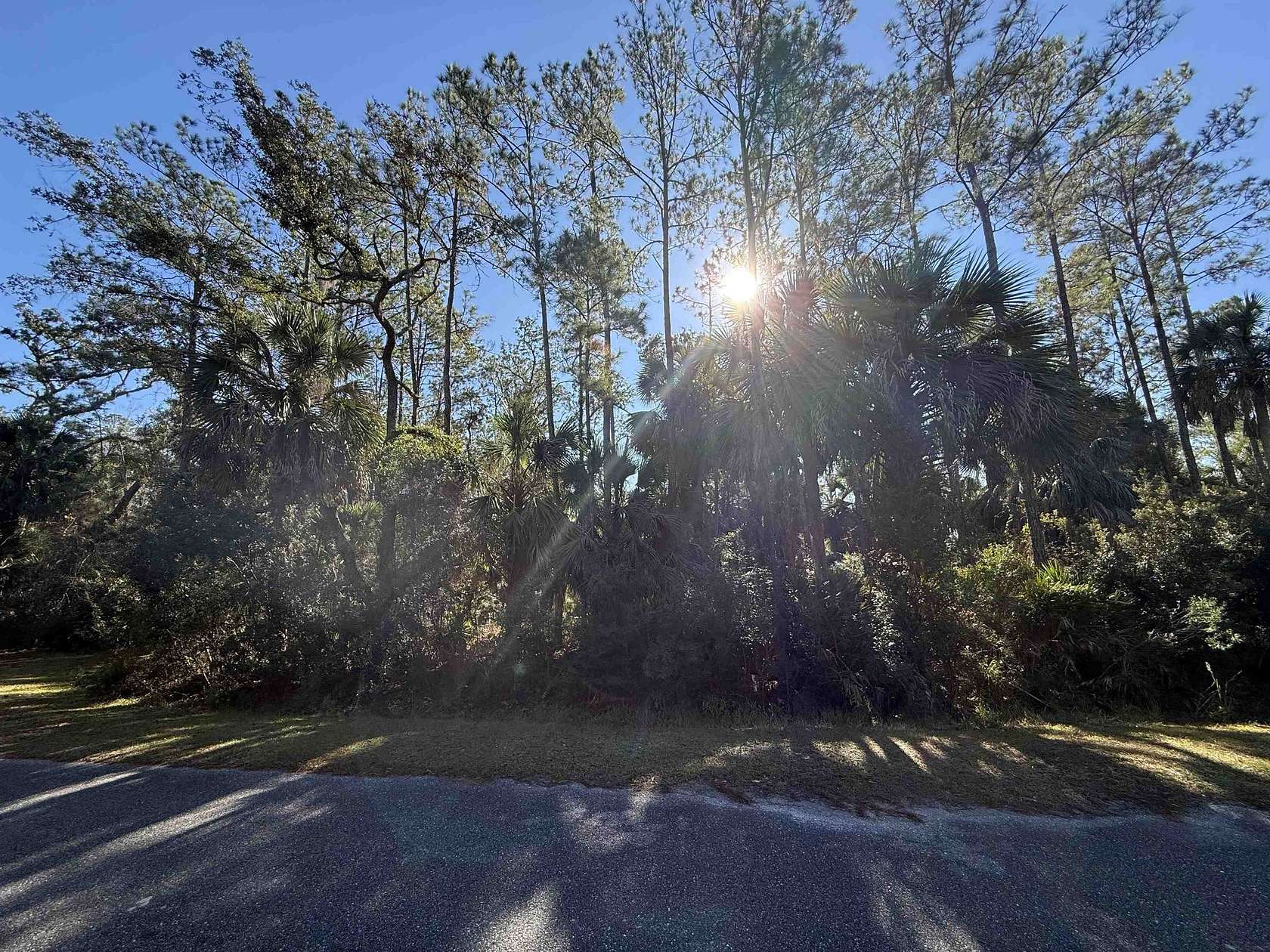 0.21 Acres of Residential Land for Sale in St. Marks, Florida