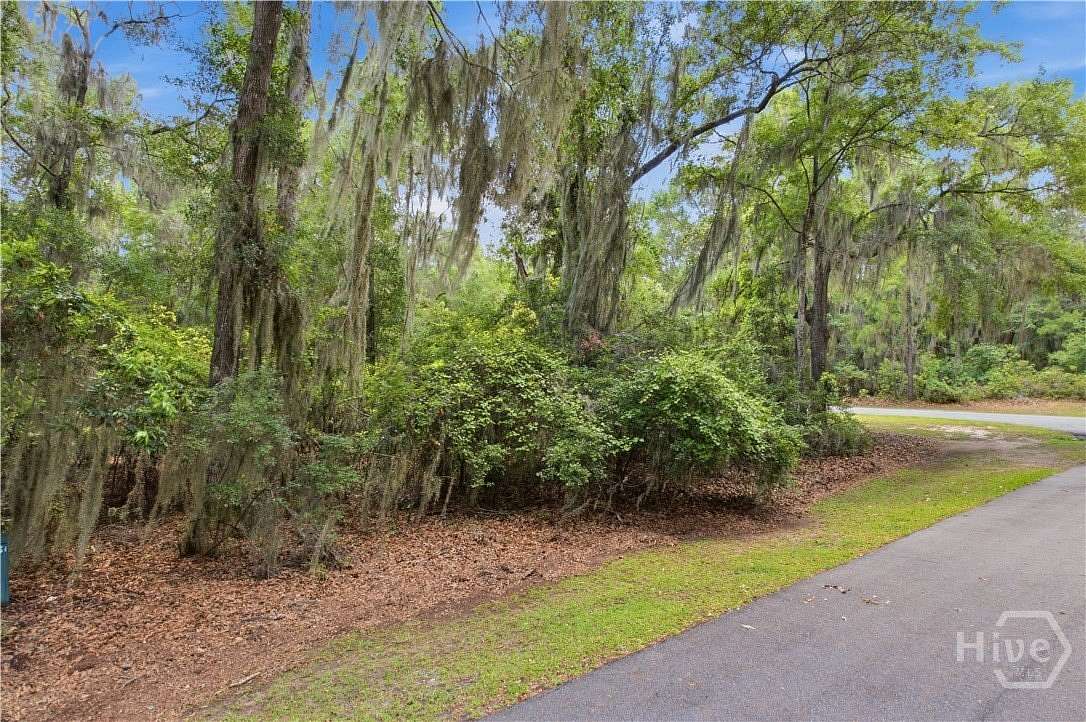 1.23 Acres of Residential Land for Sale in Townsend, Georgia