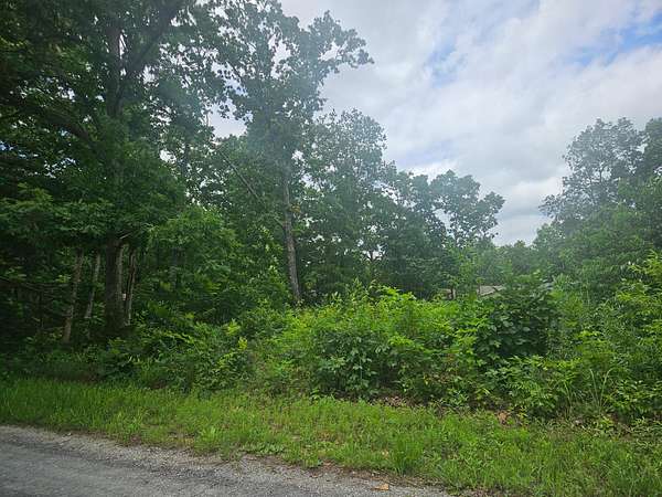 0.5 Acres of Land for Sale in Mountain View, Missouri