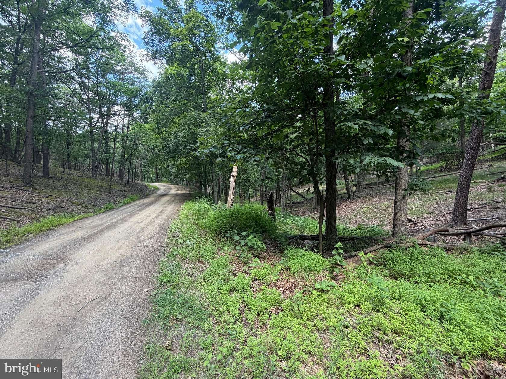 71.2 Acres of Recreational & Residential Land for Sale in Keyser, West Virginia
