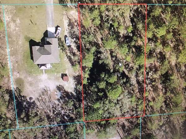 1 Acre of Residential Land for Sale in Dunnellon, Florida