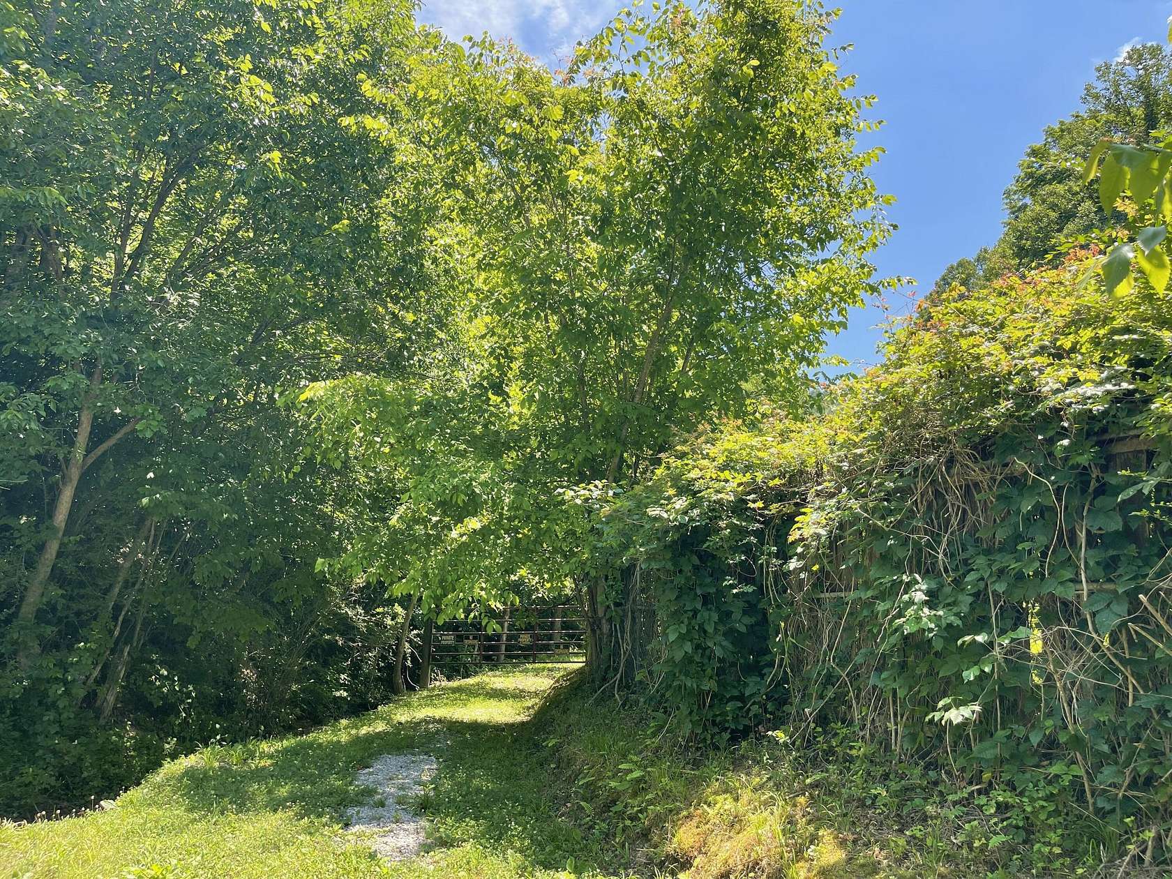 100 Acres of Recreational Land for Sale in Arjay, Kentucky