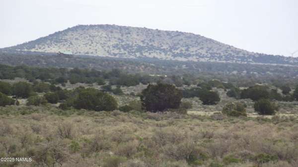 1.13 Acres of Land for Sale in Williams, Arizona