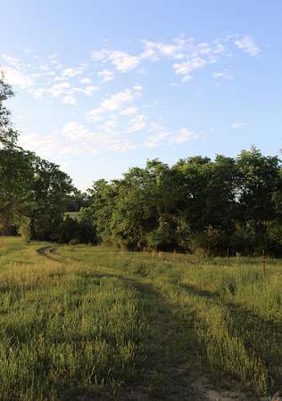 7 Acres of Land for Sale in Amity, Arkansas
