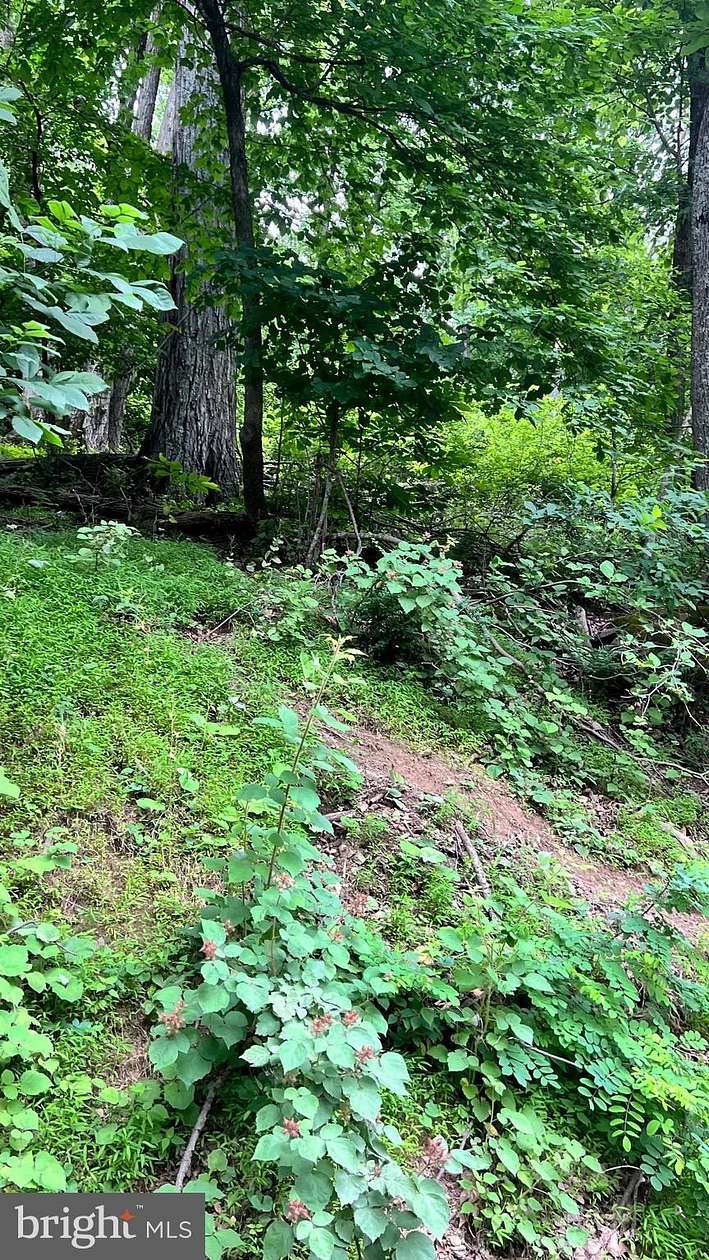 1.7 Acres of Residential Land for Sale in Front Royal, Virginia
