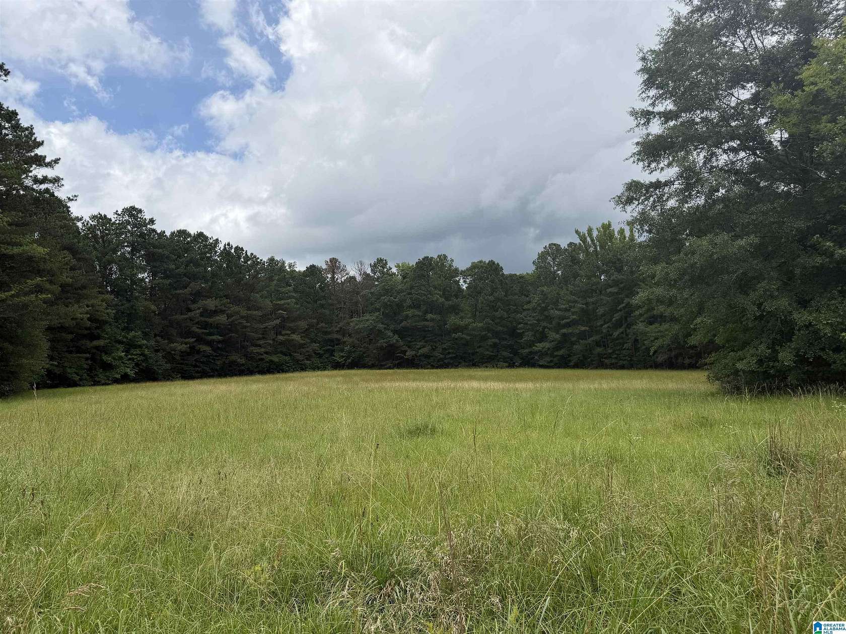 7.25 Acres of Residential Land for Sale in Sumiton, Alabama