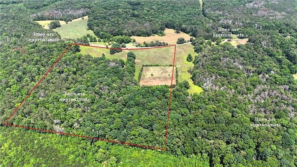 39.6 Acres of Agricultural Land for Sale in Bowdon, Georgia