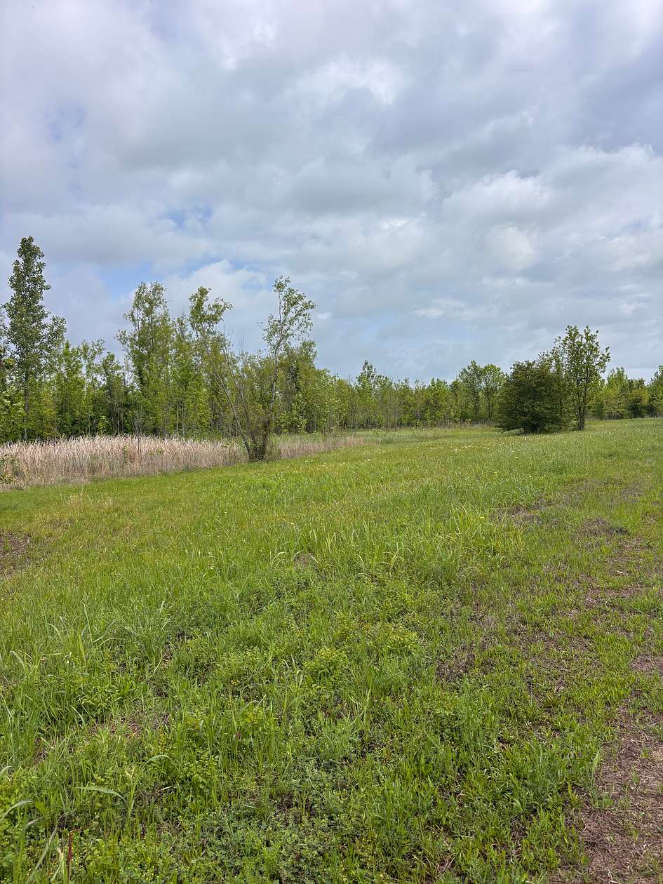 265 Acres of Recreational Land for Sale in Texarkana, Texas