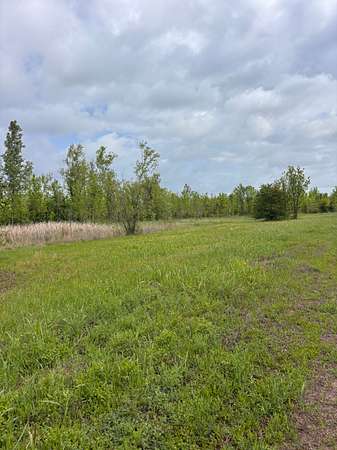 265 Acres of Recreational Land for Sale in Texarkana, Texas