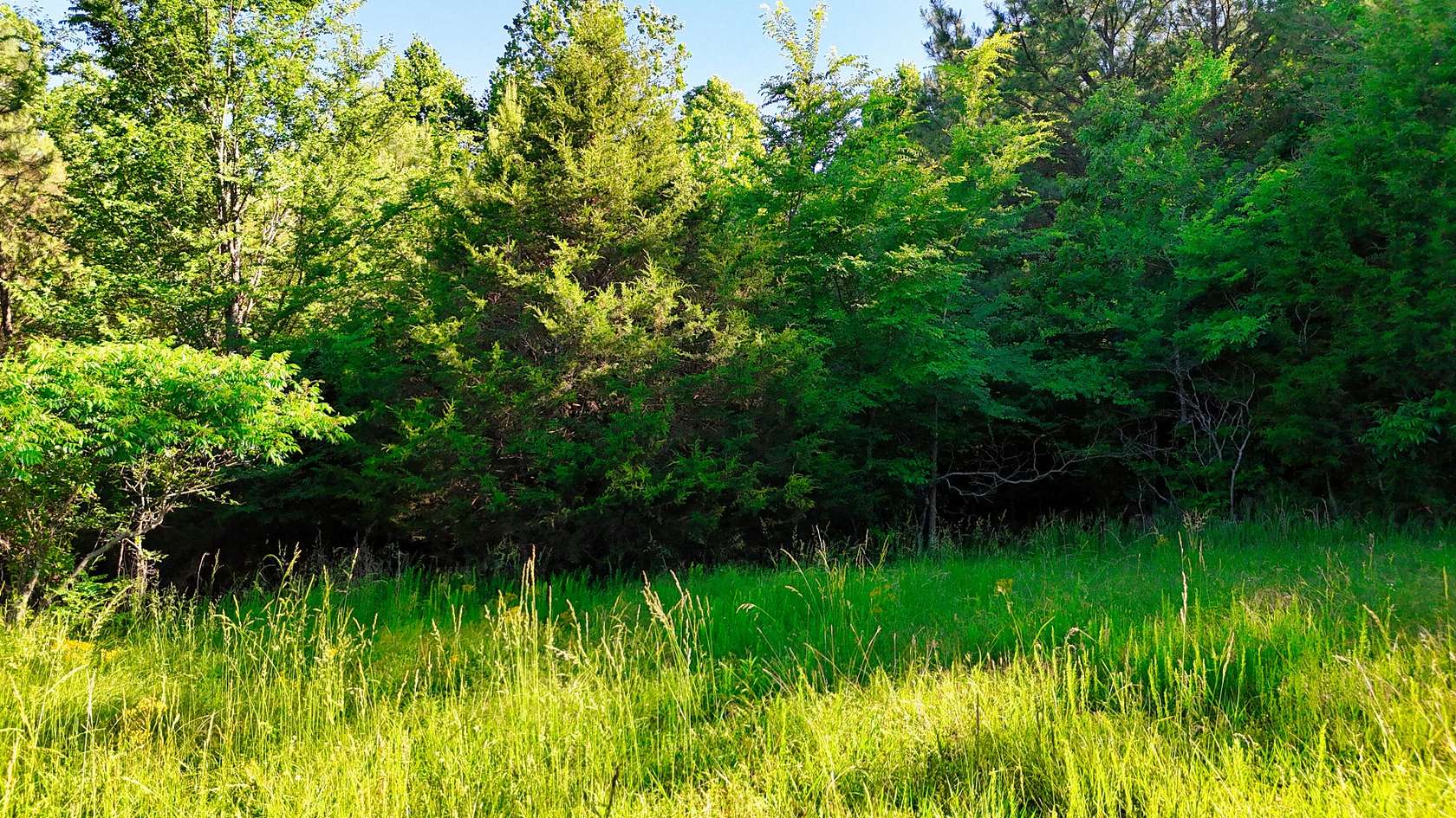 20.4 Acres of Recreational & Residential Land for Sale in Huntingdon, Tennessee