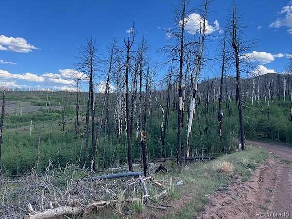 2 Acres of Residential Land for Sale in Fort Garland, Colorado