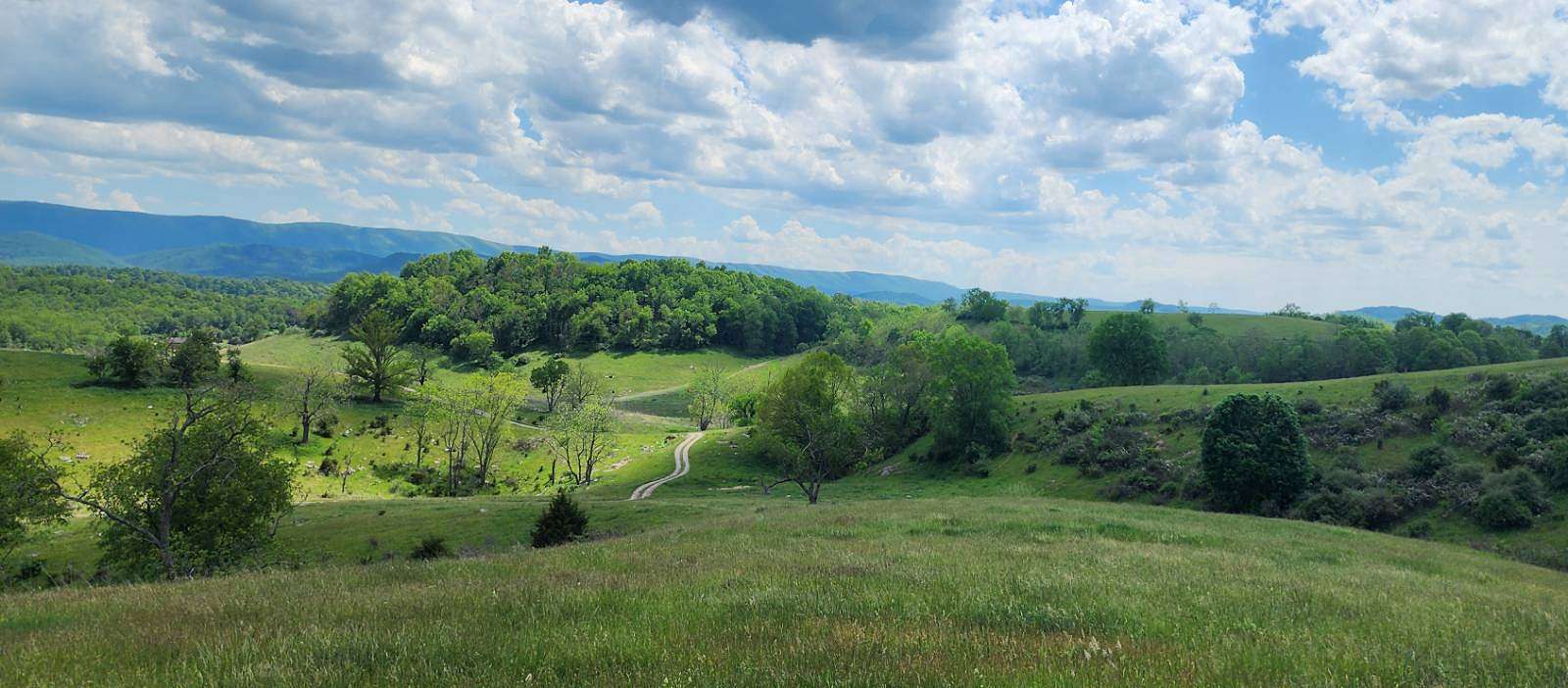 28 Acres of Land for Sale in Union, West Virginia