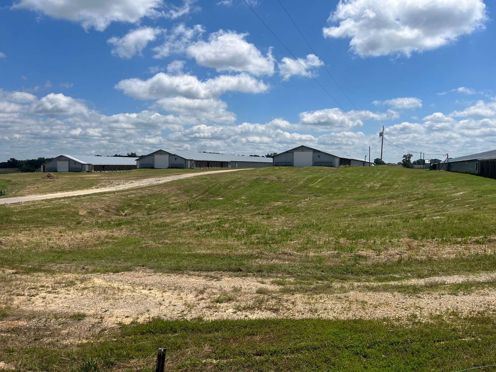 25.5 Acres of Agricultural Land for Sale in Cave City, Arkansas