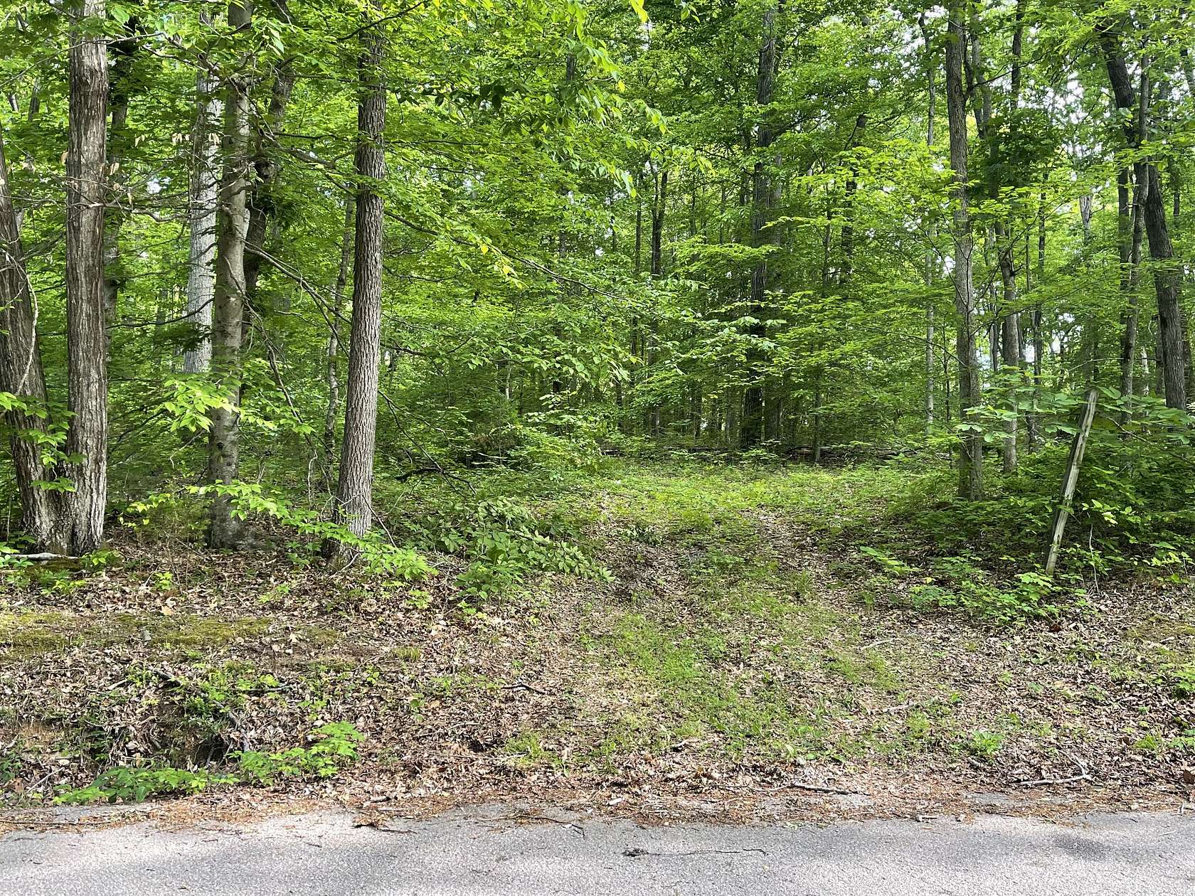 5.23 Acres of Residential Land for Sale in Franklin, Tennessee