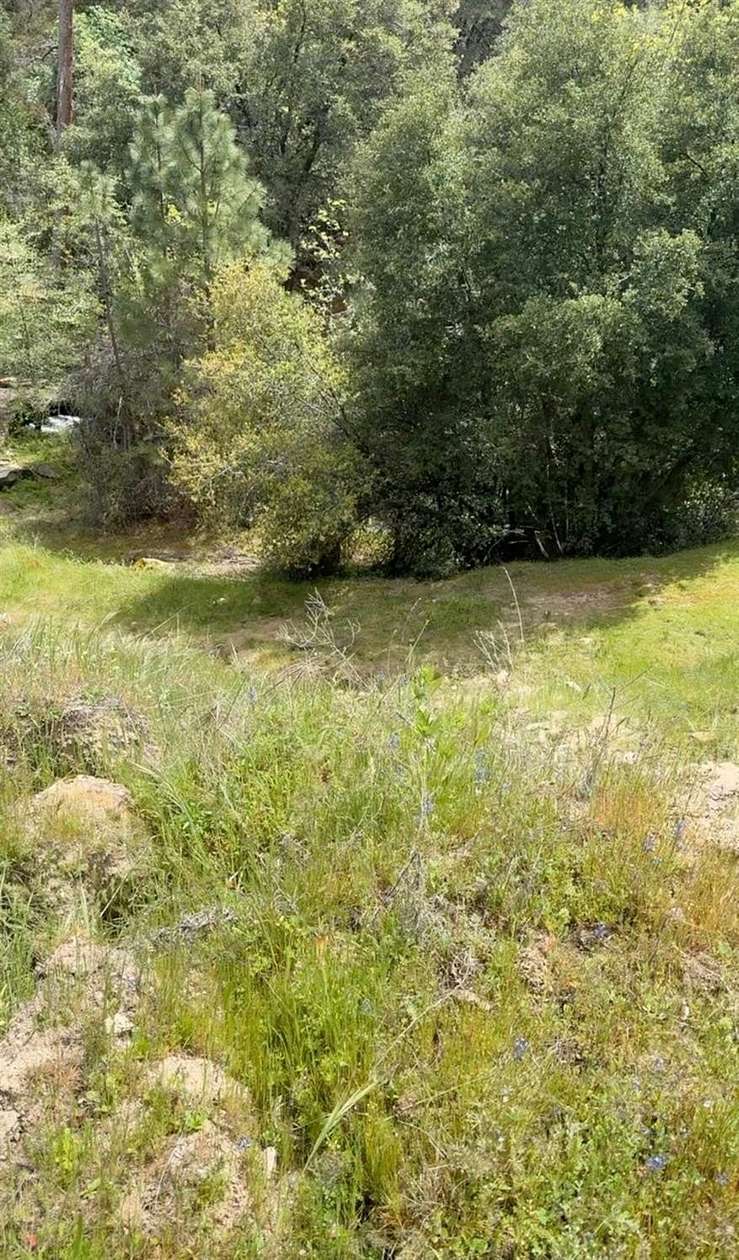 8 Acres of Land for Sale in Oakhurst, California