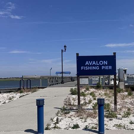 8.75 Acres of Land with Home for Sale in Avalon, New Jersey
