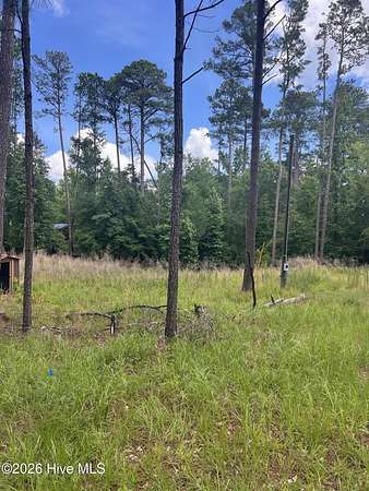 1.37 Acres of Residential Land for Sale in Lincolnton, Georgia