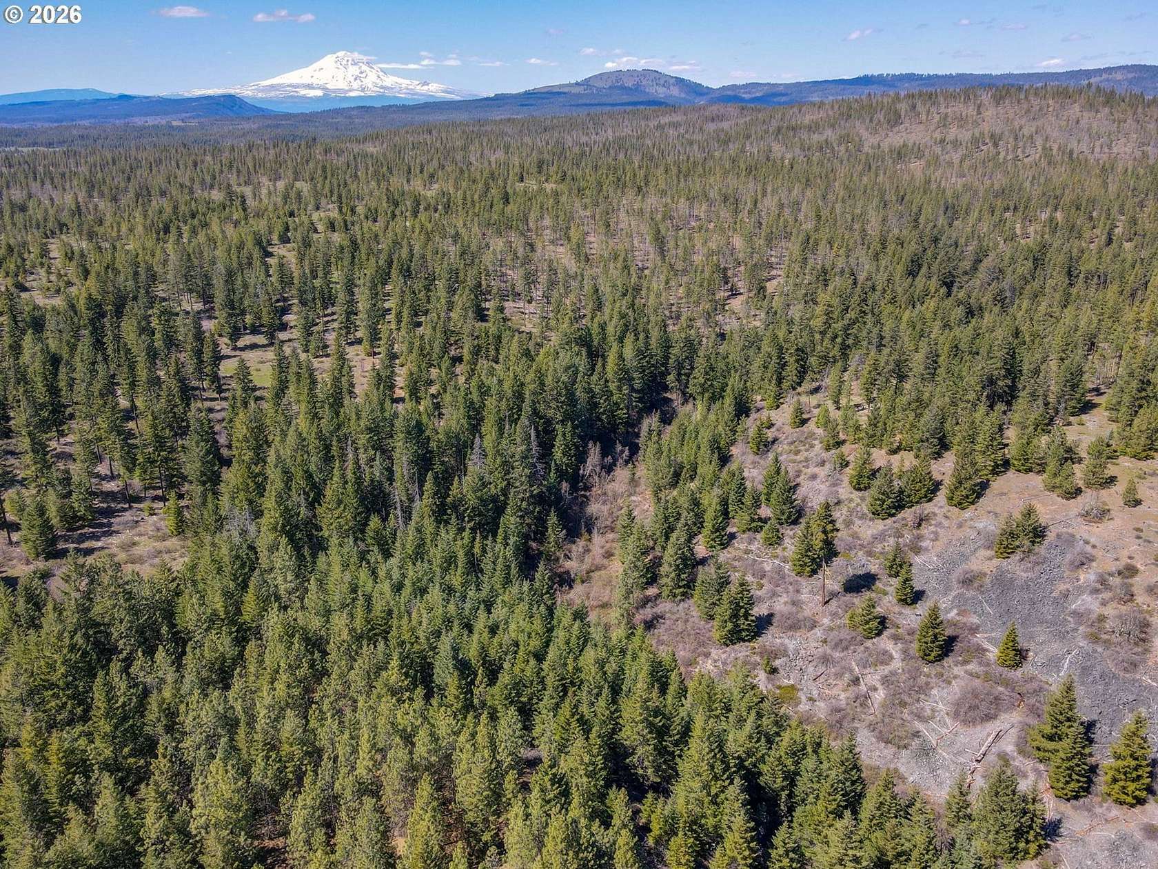80 Acres of Recreational Land for Sale in Goldendale, Washington