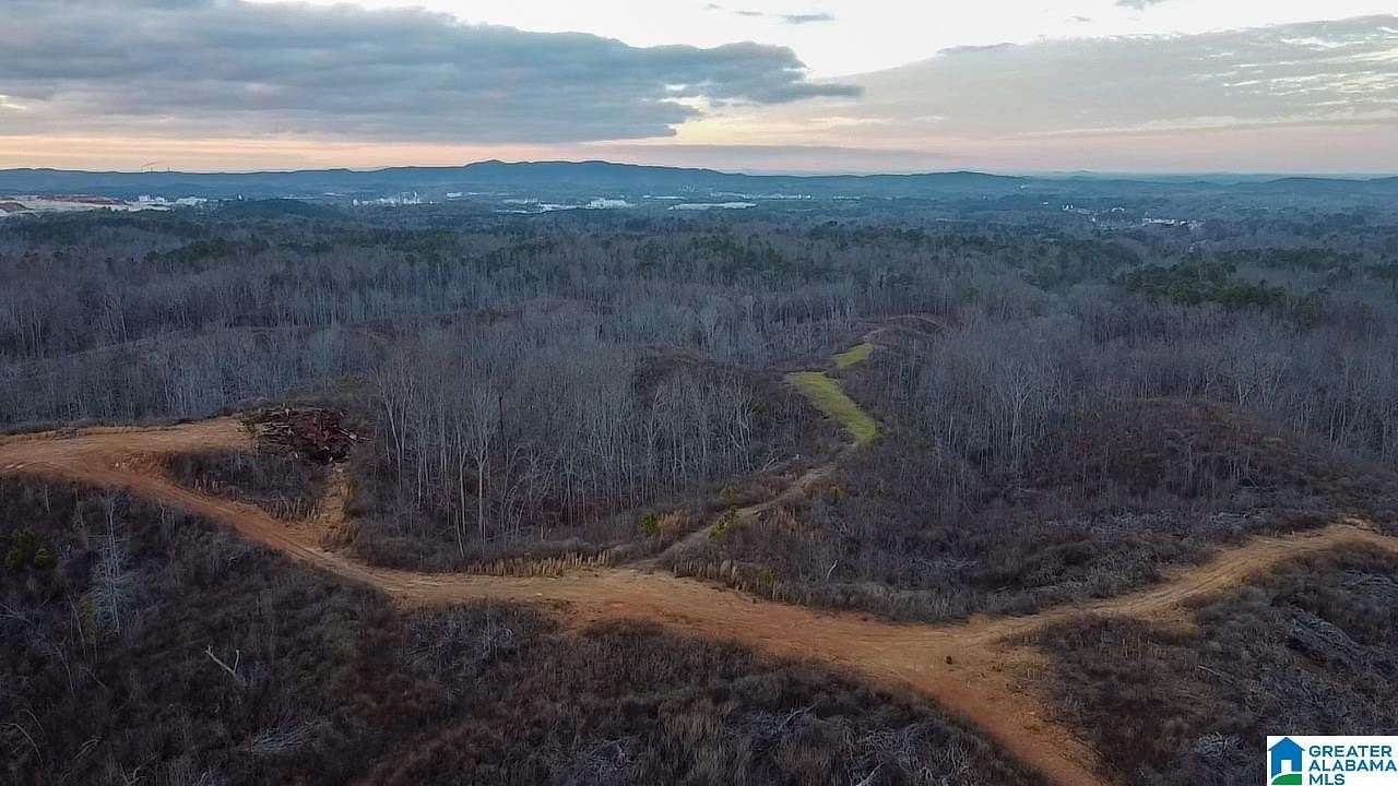 133 Acres of Land for Sale in Sylacauga, Alabama